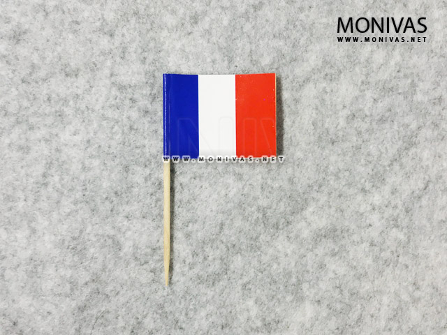 France Flag Toothpick Topper
