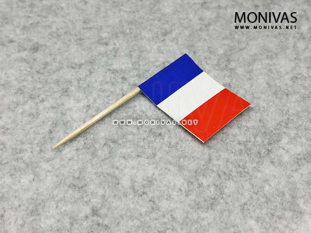 France Flag Toothpick Topper